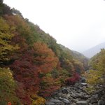 어울림의 <b>향연</b>