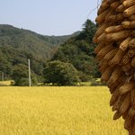 아름다운 시골의 <b>적막</b>함.