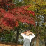 경기도 <b>가평</b>에서