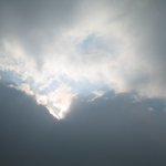 겨울<b>햇살</b>은 숨박곡질하며 1