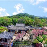 <b>서산</b>-