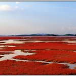 또 올립<b>니더</b>예2