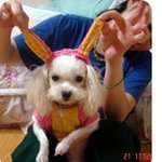 우리<b>단비</b>♡