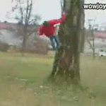 <b>절반</b>의 성공..