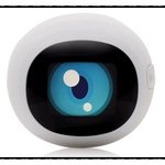 시선집중!! 손안의 작은 세상.