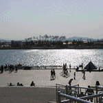 <b>일산</b> 호수공원