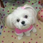 ★☆ <b>왕자</b> ☆★