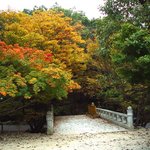 좋은 경관이라서 올립<b>니더</b>예