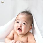 <b>셩</b>이사진