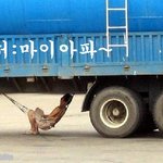 <b>시동</b>걸면 죽는다~