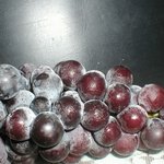 우담<b>바라</b>닷..