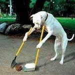 내 <b>응가</b>는 내가!
