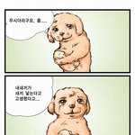 <b>내</b>가 삐뚤어진 <b>사연</b>