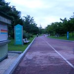 여의도공원 - <b>첨가</b>봤음돠. ^^