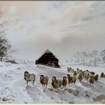 brian walters의 수채화... (15)