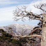 이렇게 <b>화창</b>한 겨울 태백산은 보기드물껄요