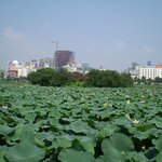 운천 <b>저수지</b>