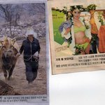 <b>영월</b> 들녘의 전원일기 대 가격 확 벗었어요.