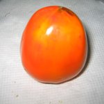 연시감 (<b>국산</b>)