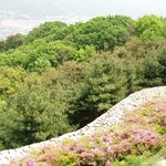 <b>화창</b>한 봄날씨 보문산성을 오르며~
