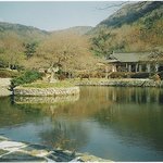 허련과 운림산방