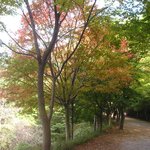 경관이 좋아서 올립<b>니더</b>예8