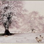 brian walters의 <b>수채화</b>... (16)