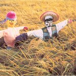 <b>허수</b>아비 아저씨