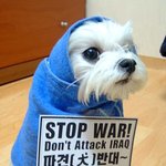 <b>파견</b>반대