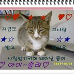 ♥다롱▒<b>방울</b>♥