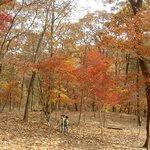광릉 수목원-(<b>산림</b>박물관- 육림호-습지원)-3