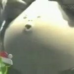<b>배꼽</b>으로 휘파람을 분다고___
