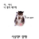 고양이파의 <b>수치</b>