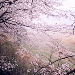 좋은 경관이라서 올립<b>니더</b>예5