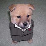 <b>비범</b>한 개