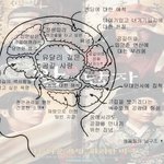 왕의남자 <b>폐인</b>들의 뇌구조