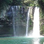 제주도 천지연<b>폭포</b>