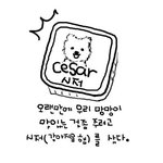 애견<b>사료</b>에 대한 안좋은 추억