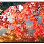 경치가 그런대로 괜찬<b>아서</b> 올려예2