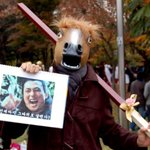 이것이 진정한 말대가리