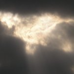 또 올립<b>니더</b>예3