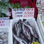 연기하는 <b>생선</b>