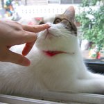 어제 우리의 <b>화해</b>장면.