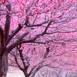 좋은 경관이라서 올립<b>니더</b>예6