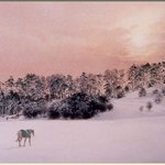 brian walters의 <b>수채화</b>... (19)