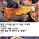 그들의 <b>사냥</b>