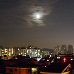 <b>달빛</b>젖은 서울