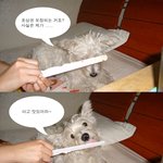 <b>현행범</b> 인터뷰