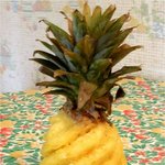 과일을 이용한 <b>후식</b>