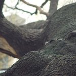 종로구 경복궁<b>일대</b> 풍경-이완호 영상갤러리-